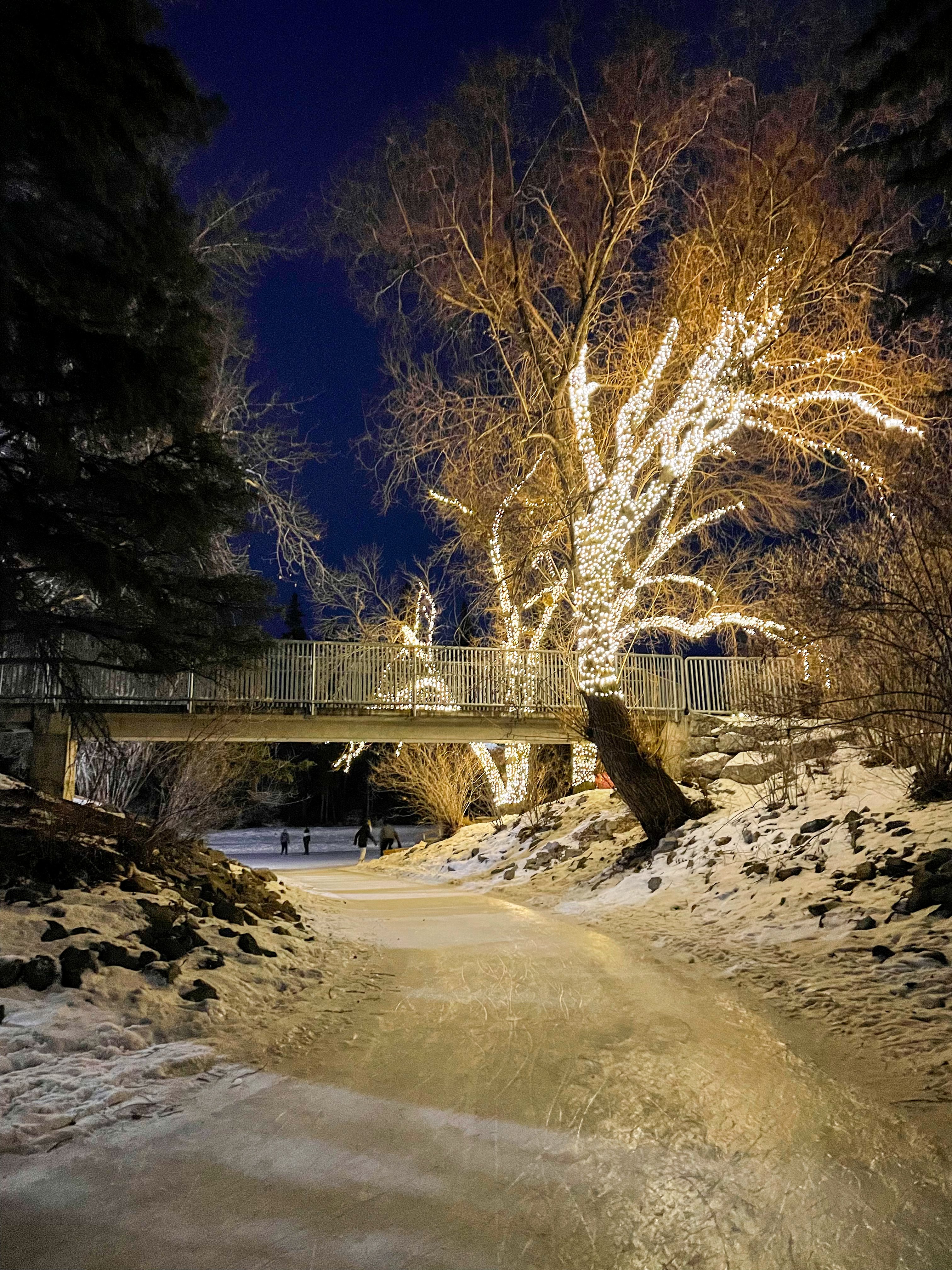 Skating and holiday lights