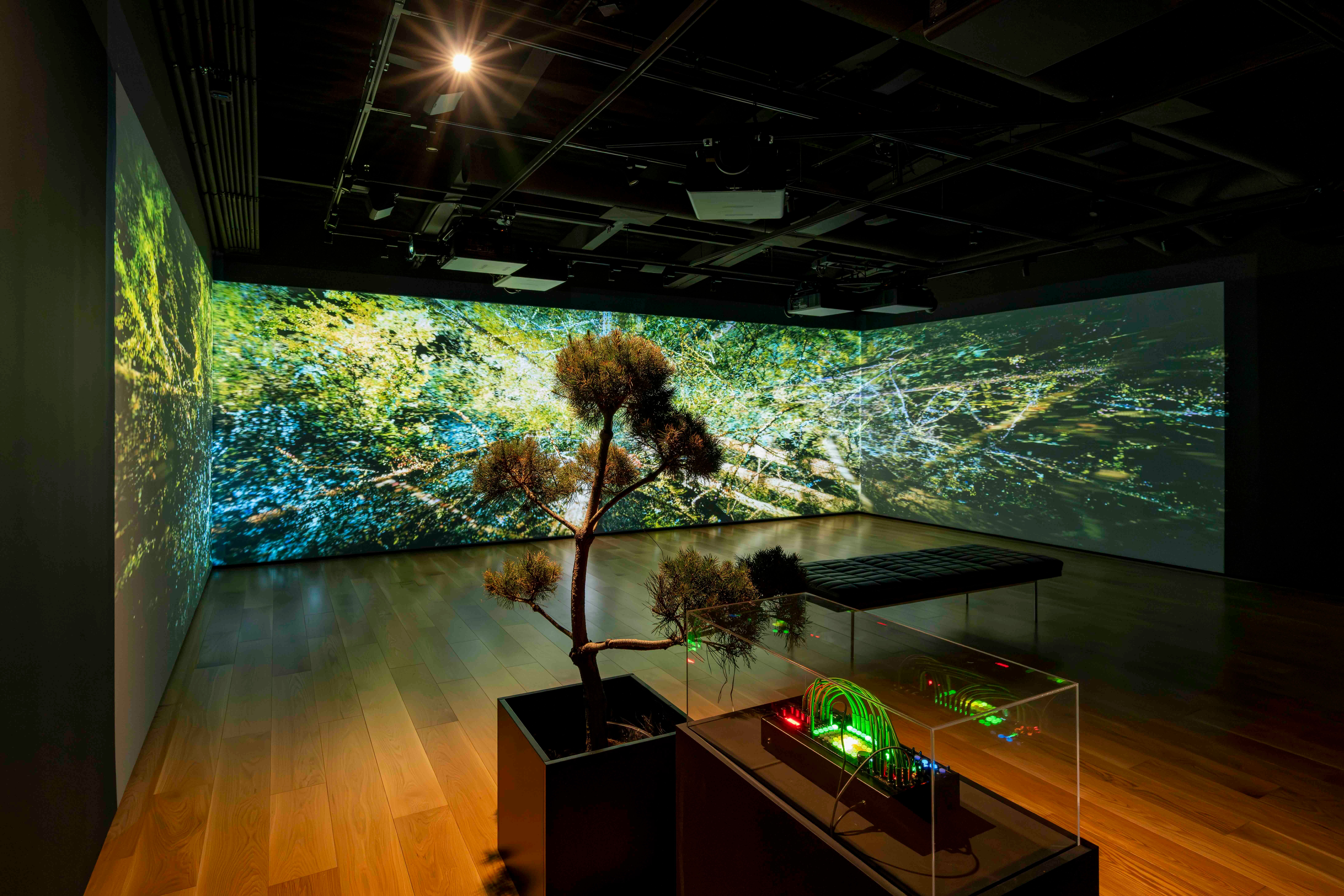 ContemporaryCalgary_Nelly-EveRajotte_11