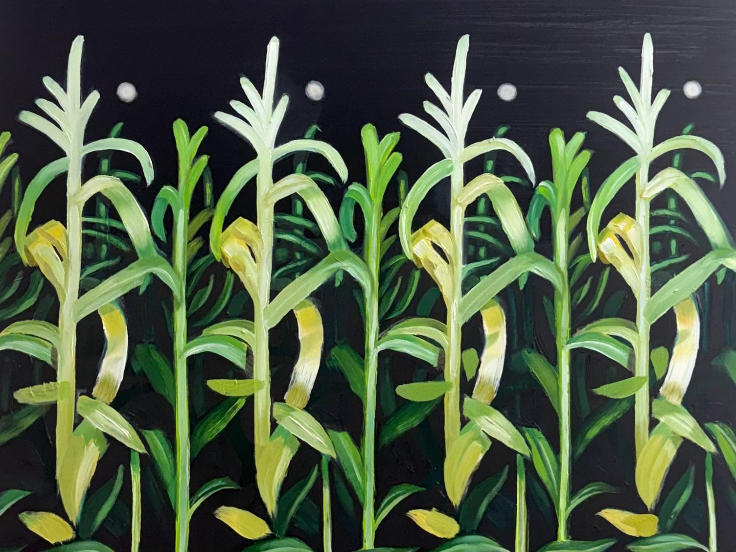 GL_Window_KatherineLangdon_Home_Grown_26x20_4x3