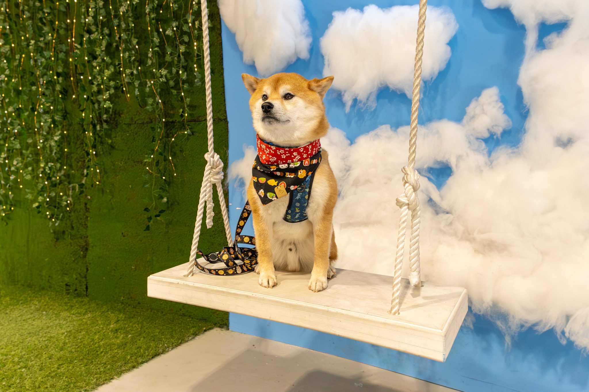 IMG_4629-Enhanced-NR