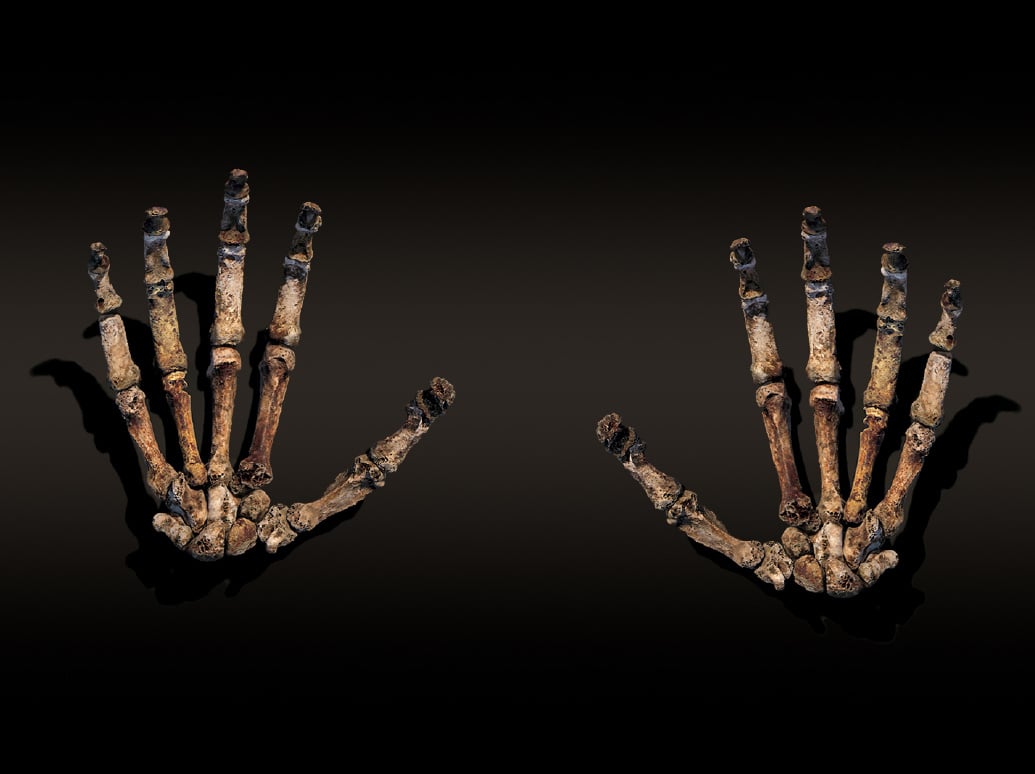 NGL Berger_EventBanner