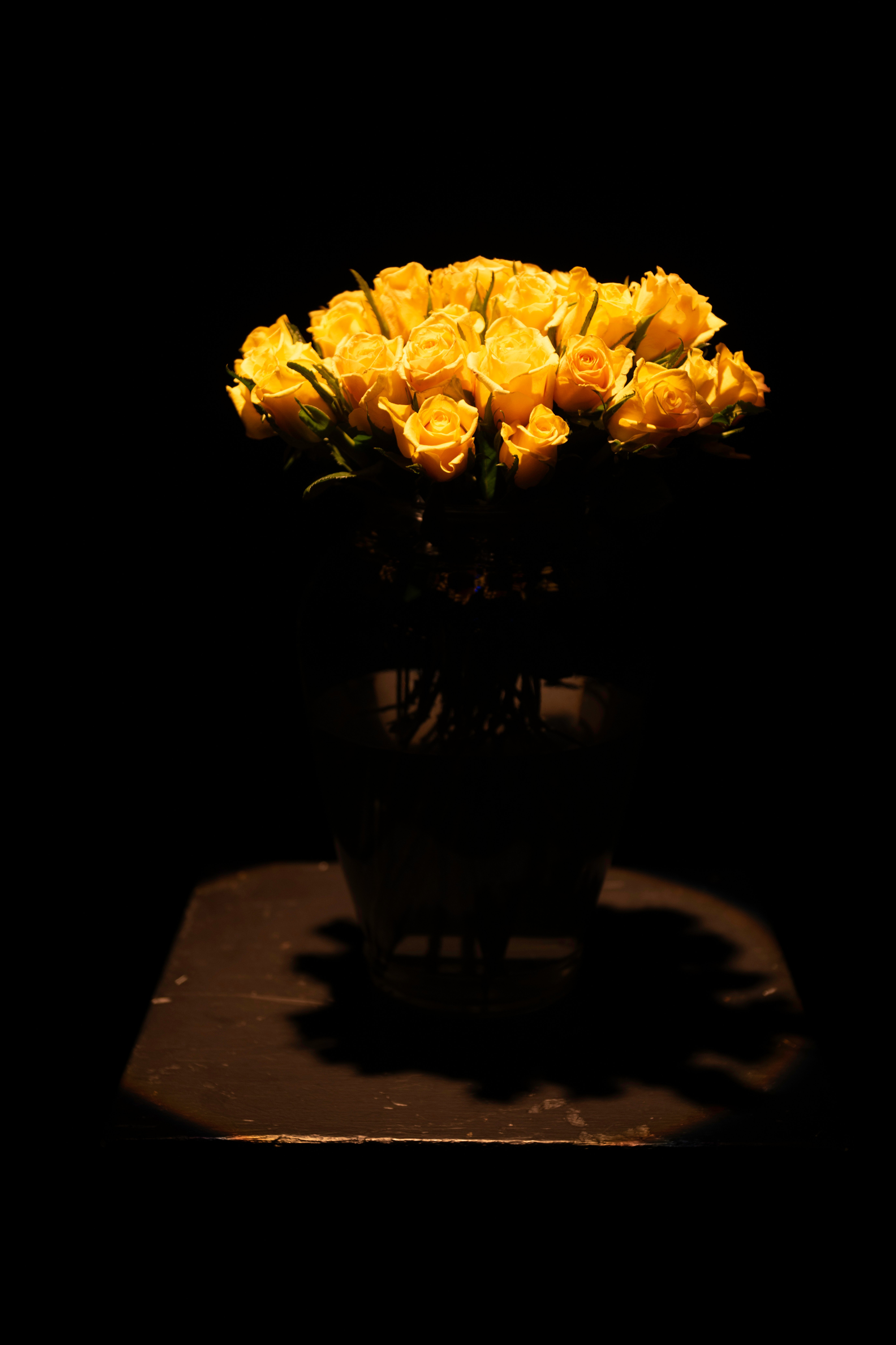 Yellow Roses_Denise Clarkes Salon_photo by Benjamin Laird