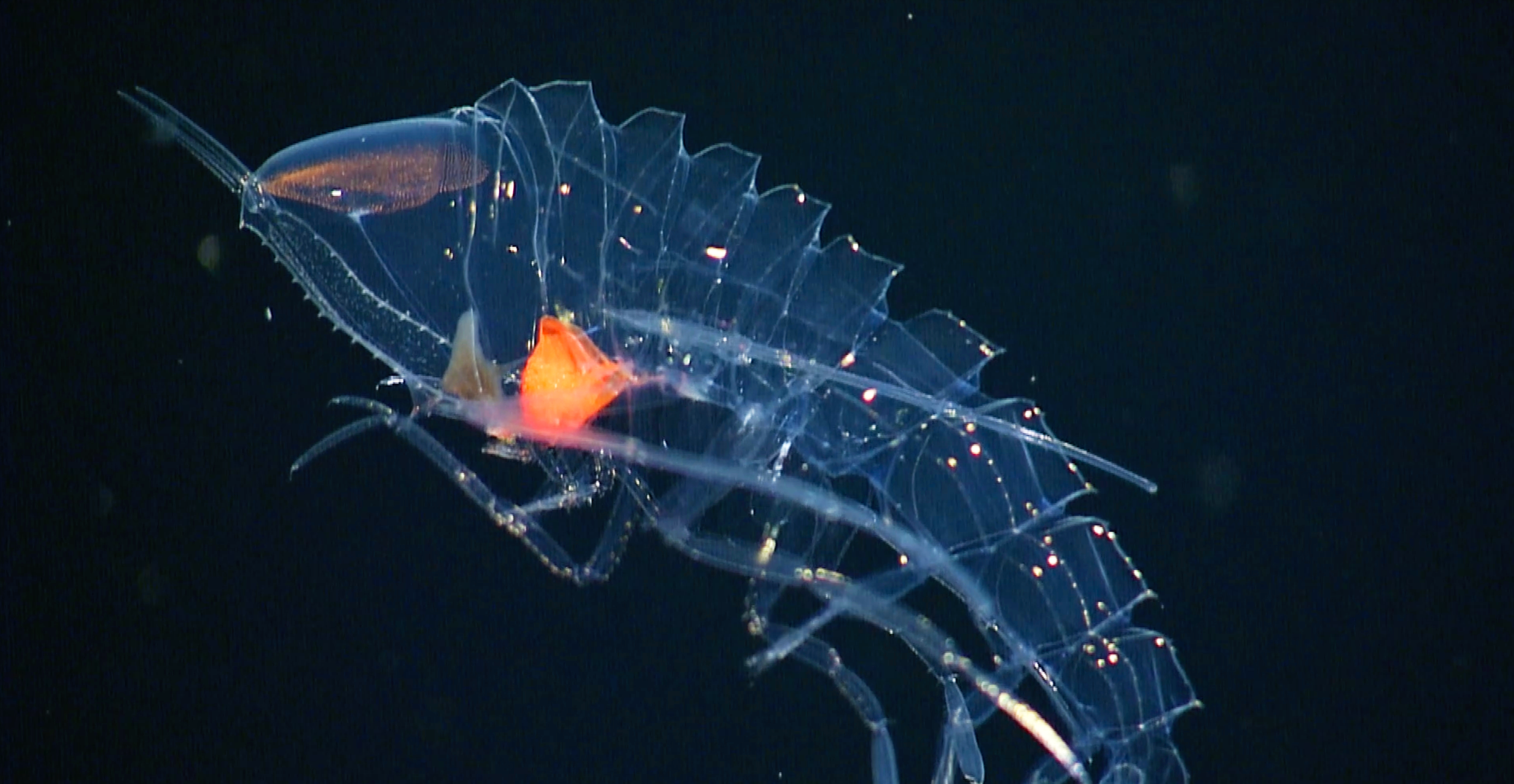 cr MBARI 3
