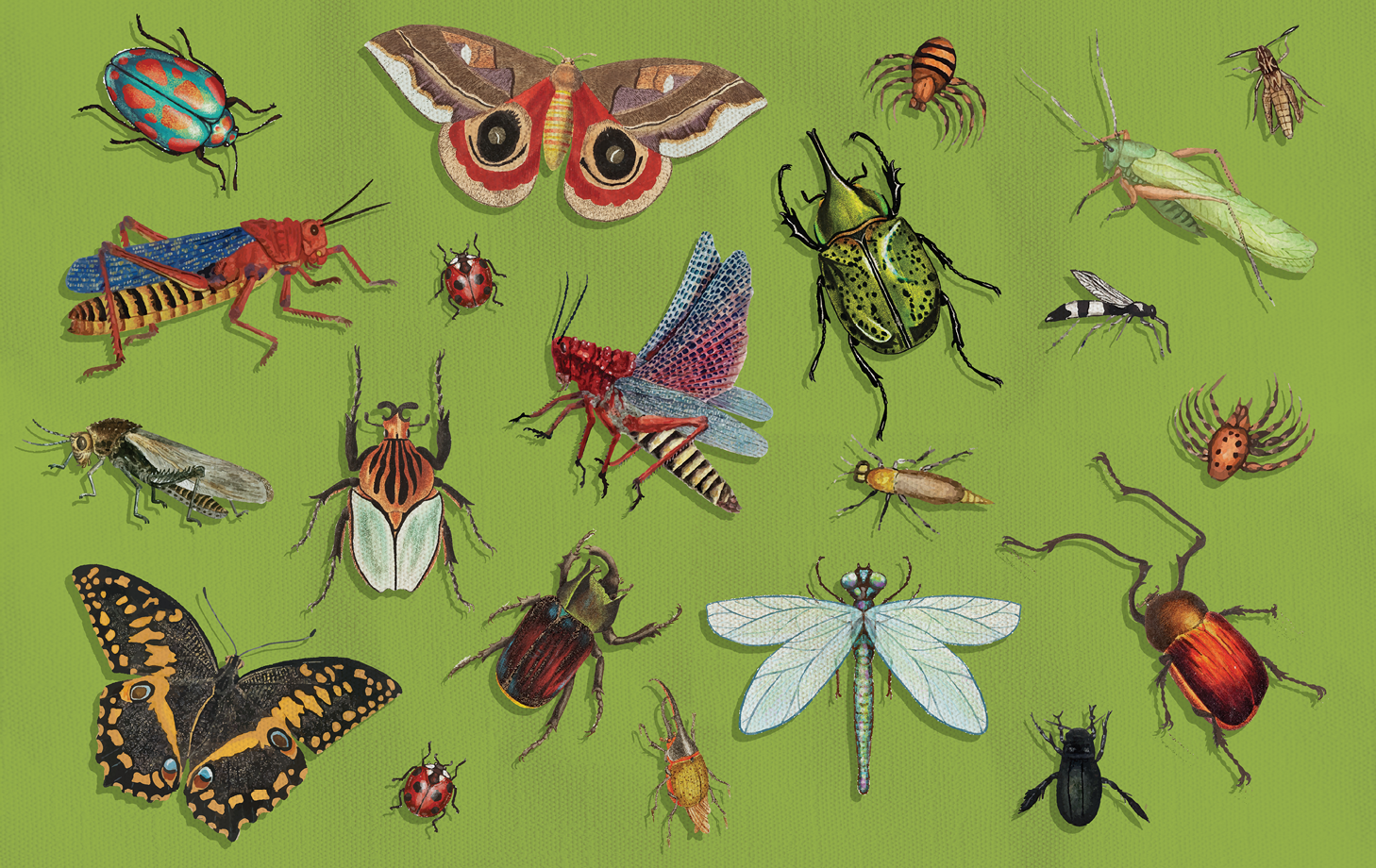 21. BUGS! March 7_840x530