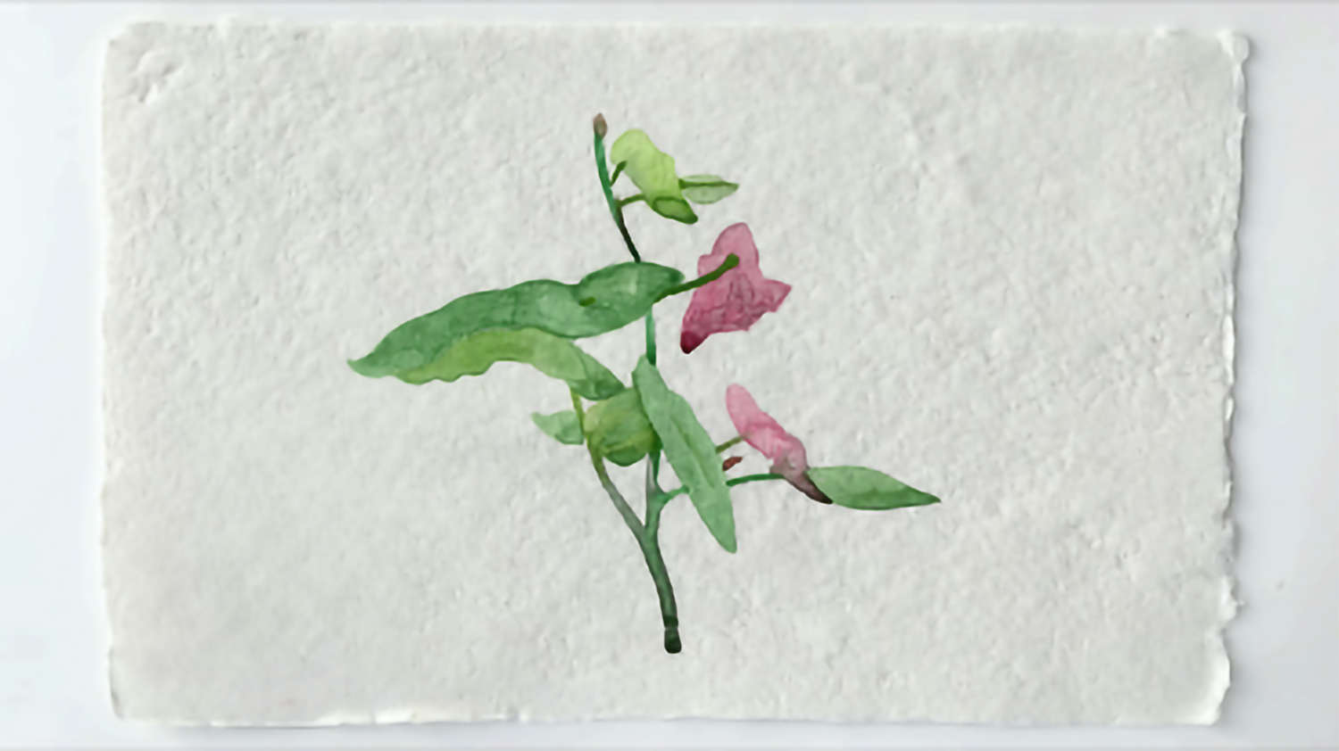 GL MaedehHosaverzadeh ExhbitImage