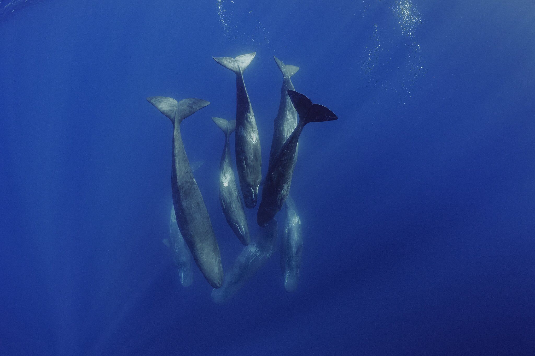 SOTW_NGSF000003_190625__67259.jpg