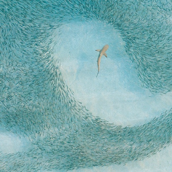 NGL Cramp_EventBio_1x1