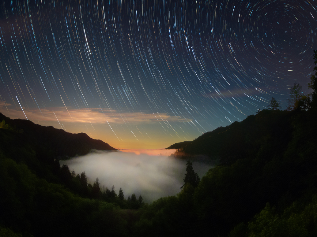 NGL Tafreshi_EventBanner